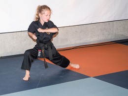 VLK00179.jpg