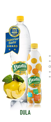 budis b komplex